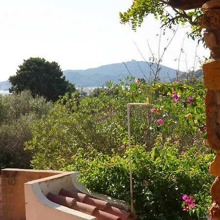 Patio On The * Simius