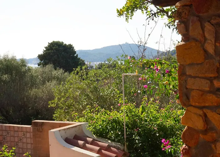 Patio On The - 300 Mt From * Simius